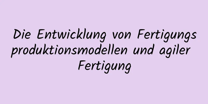 Die Entwicklung von Fertigungsproduktionsmodellen und agiler Fertigung